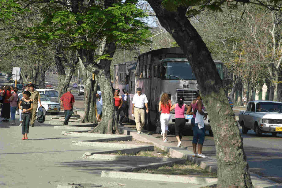 Passengers for a Camelo